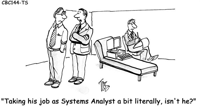 Humor - Cartoon: Job as a Systems Analyst